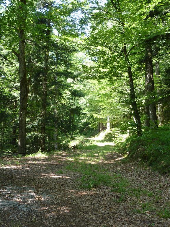 Gasthaus Zum Schwanen uhlingen Birkendorf Bagian luar foto